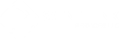 SATNETLINK SERVICES LLC